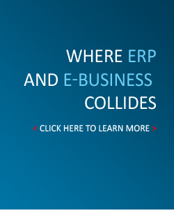 Where ERP and E-Business collides