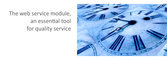 The WEB Service Module: an essential tool for quality service